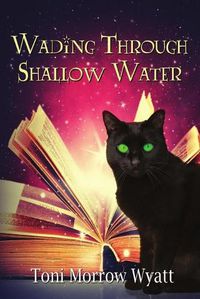 Cover image for Wading Through Shallow Water