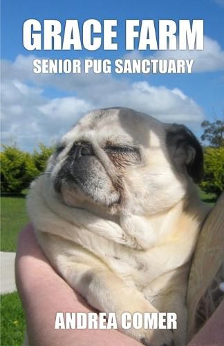 Cover image for Grace Farm Senior Pug Sanctuary