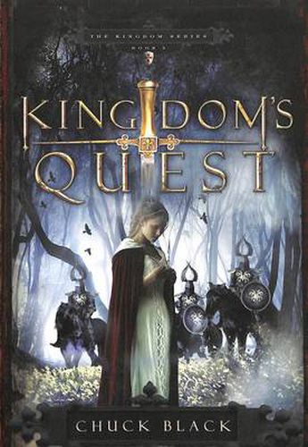 Cover image for Kingdom's Quest: Age 10-14