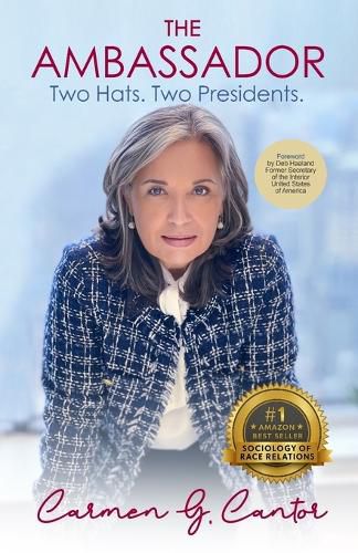 Cover image for The Ambassador