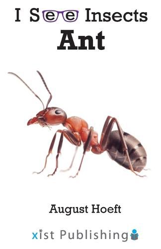 Ant