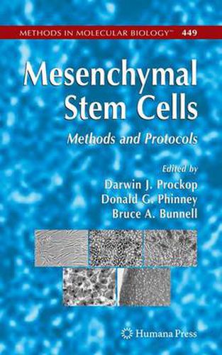 Cover image for Mesenchymal Stem Cells: Methods and Protocols