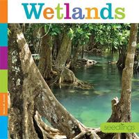 Cover image for Wetlands