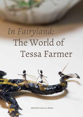 Cover image for In Fairyland: The World of Tessa Farmer