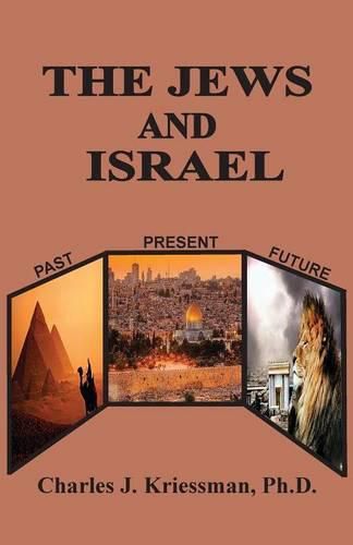 Cover image for The Jews and Israel