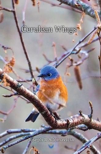 Cover image for Cerulean Wings