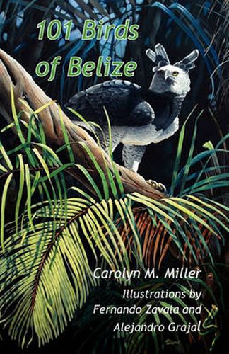 Cover image for 101 Birds of Belize