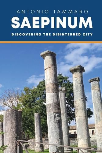 Cover image for Saepinum
