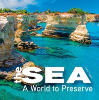 Cover image for The Sea: A World to Preserve