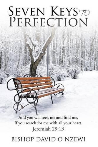 Cover image for Seven Keys to Perfection