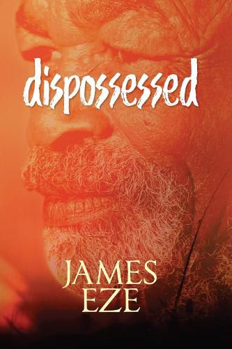 Cover image for dispossessed