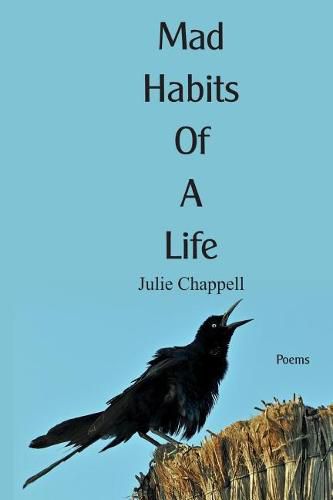 Cover image for Mad Habits of a Life