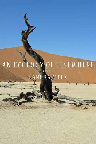 Cover image for An Ecology of Elsewhere: Poems