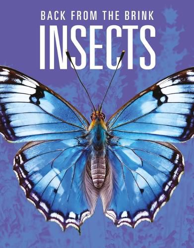 Cover image for Insects: Back from the Brink