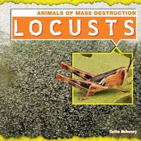 Cover image for Locusts