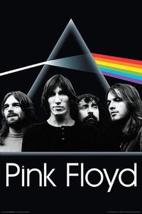 Cover image for Pink Floyd - Dark Side Group - Wall Poster: 24 Inches X 36 Inches