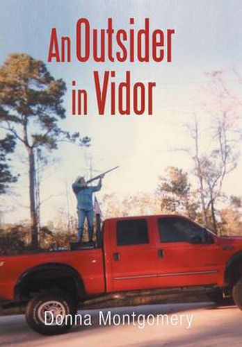 Cover image for An Outsider in Vidor