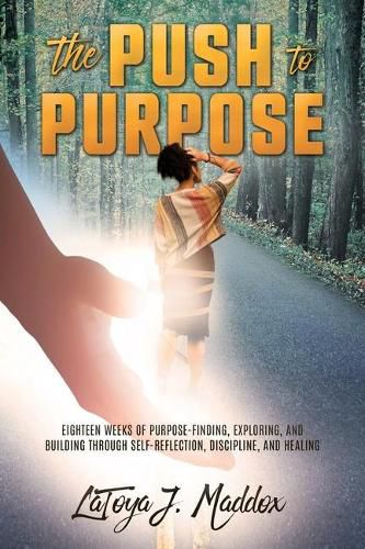 Cover image for The Push to Purpose: Eighteen Weeks of Purpose-Finding, Exploring, and Building through Self-Reflection, Discipline, and Healing