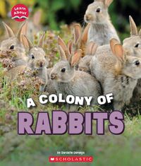 Cover image for A Colony of Rabbits (Learn About: Animals)