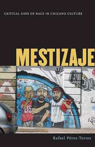 Cover image for Mestizaje: Critical Uses of Race in Chicano Culture