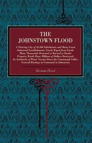 Cover image for The Johnstown Flood