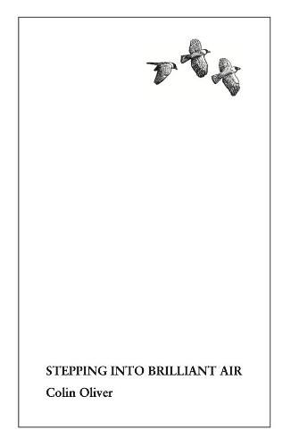 Cover image for Stepping Into Brilliant Air