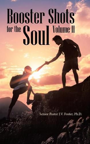 Cover image for Booster Shots for the Soul Volume Ii