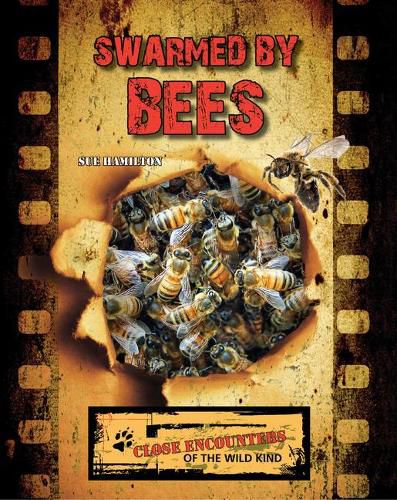 Cover image for Swarmed by Bees