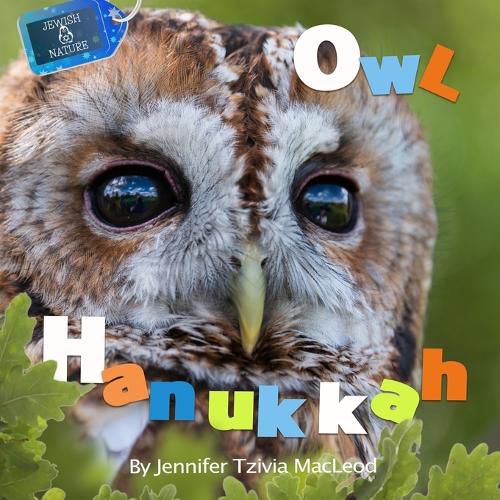 Cover image for Owl Hanukkah