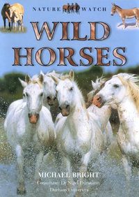 Cover image for Wild Horses