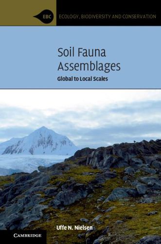 Cover image for Soil Fauna Assemblages: Global to Local Scales