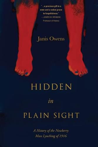 Cover image for Hidden in Plain Sight: A History of the Newberry Mass Lynching of 1916