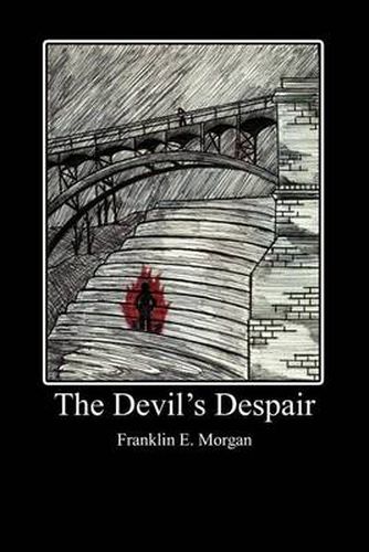 Cover image for The Devil's Despair