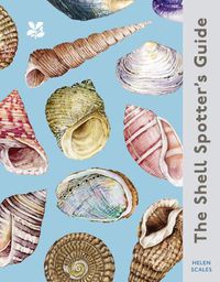 Cover image for The Shell Spotter's Guide