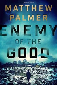 Cover image for Enemy Of The Good: A Novel