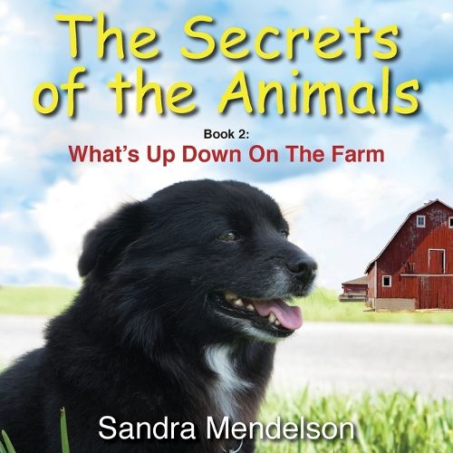 Cover image for The Secrets of The Animals