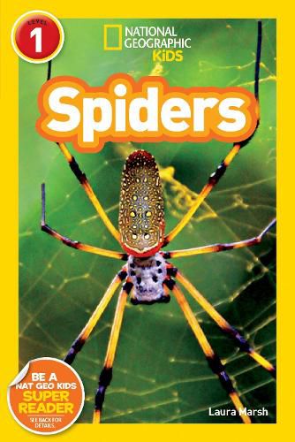 Cover image for Spiders