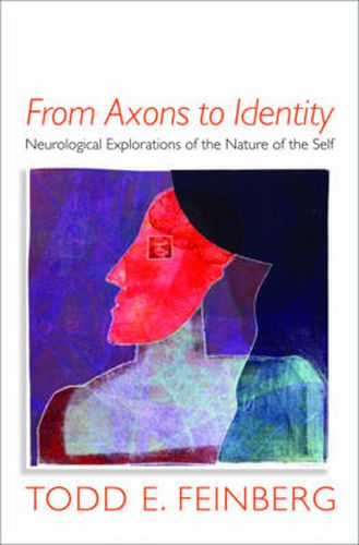 Cover image for From Axons to Identity: Neurological Explorations of the Nature of the Self