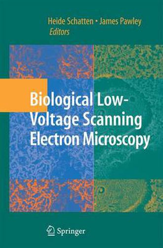Cover image for Biological Low-Voltage Scanning Electron Microscopy