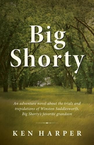 Cover image for Big Shorty