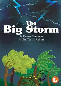 Cover image for The Big Storm