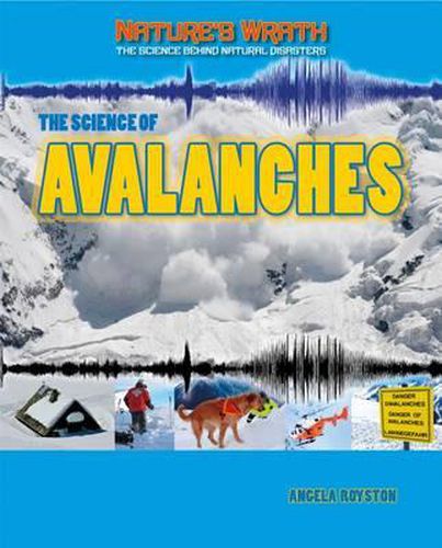 The Science of Avalanches