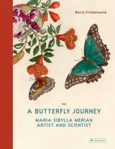 Cover image for A Butterfly Journey: Maria Sibylla Merian. Artist and Scientist