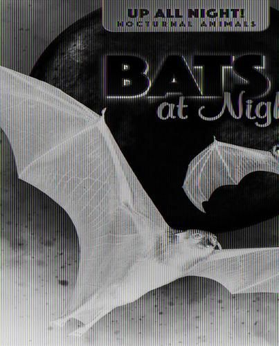 Cover image for Bats at Night