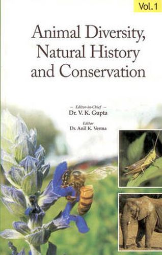 Cover image for Animal Diversity