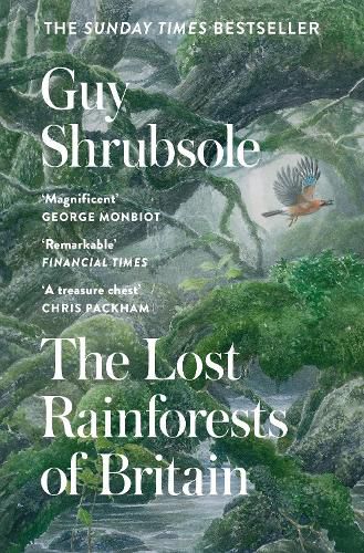 Cover image for The Lost Rainforests of Britain