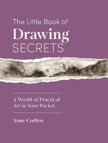 Cover image for The Little Book of Drawing Secrets
