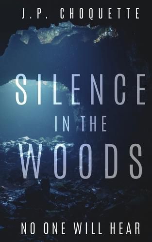 Cover image for Silence in the Woods