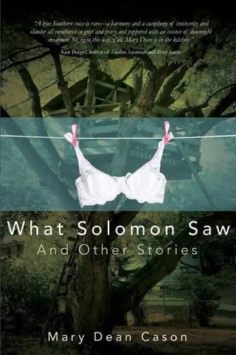 Cover image for What Solomon Saw and Other Stories