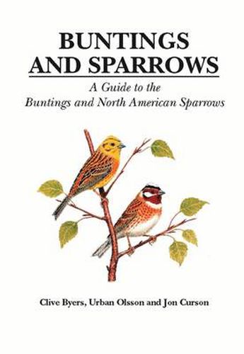 Cover image for Buntings and Sparrows